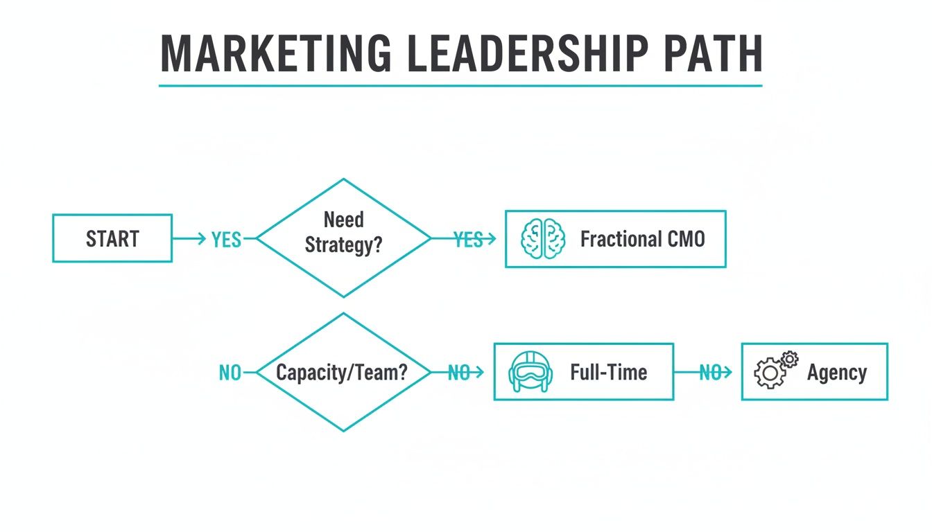 Flowchart illustrating the marketing leadership path, considering strategy, team capacity, and solutions like Fractional CMO or Agency.