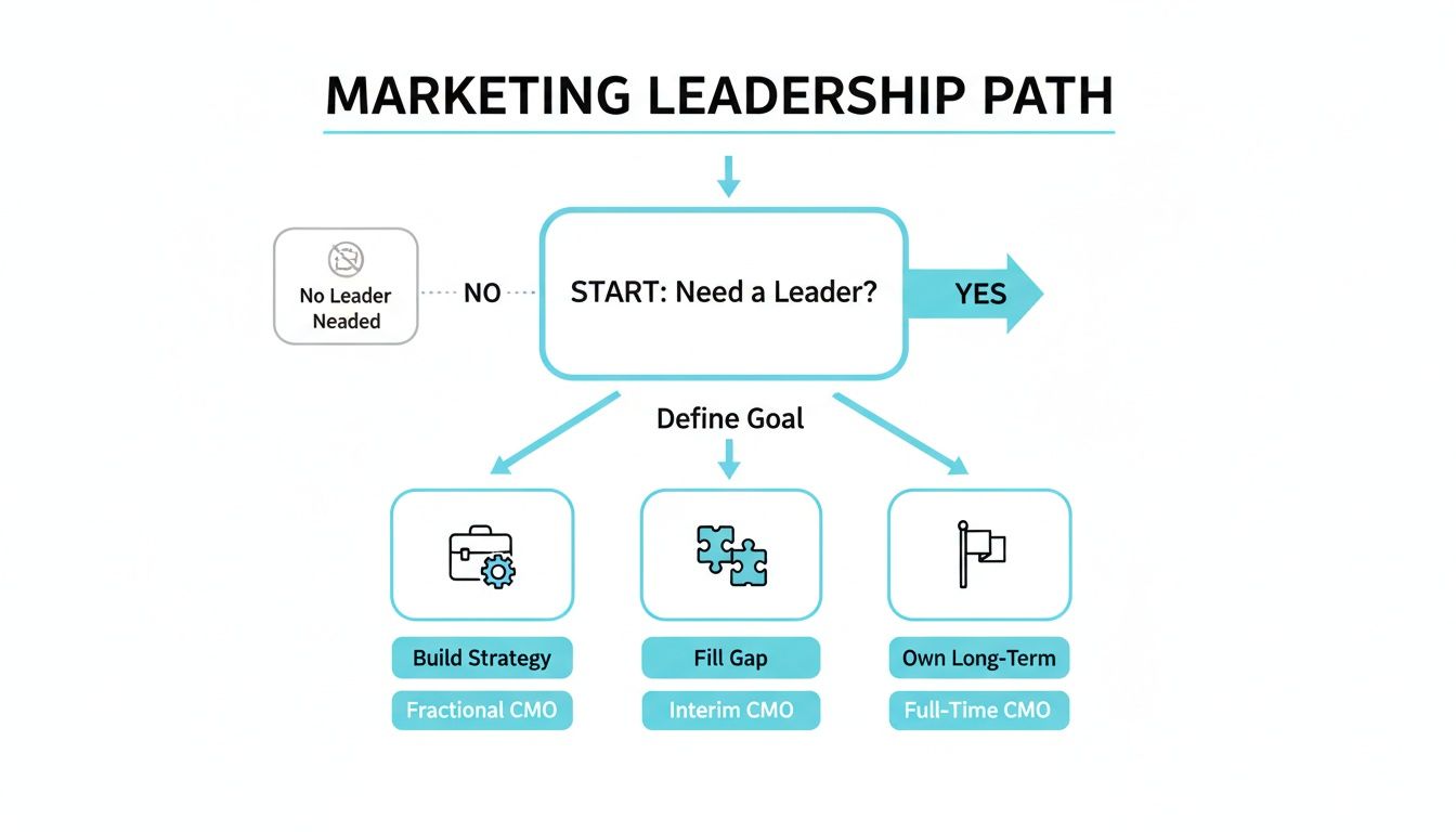 Flowchart illustrating the marketing leadership path, outlining options like Fractional, Interim, and Full-Time CMOs.