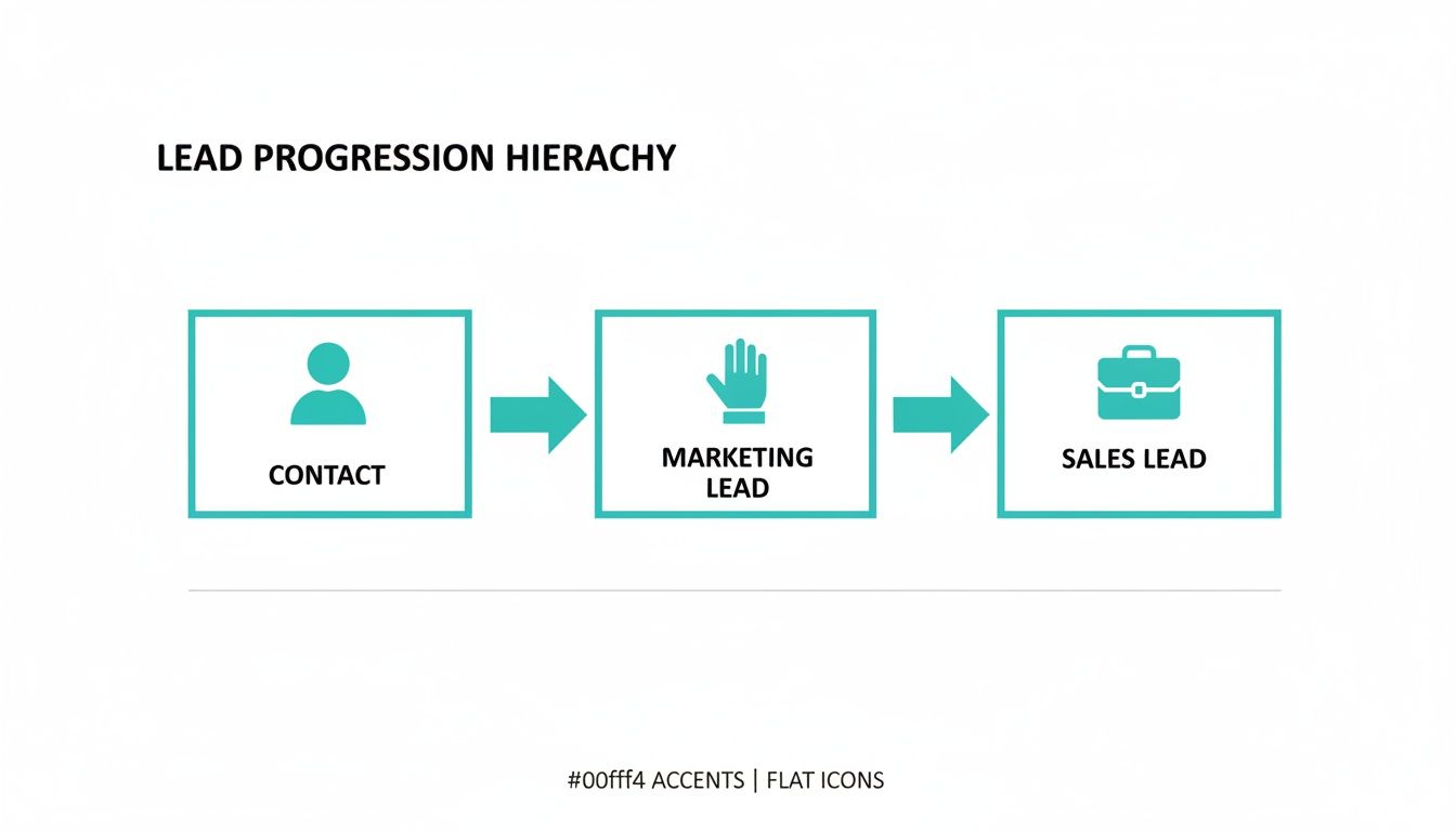 A diagram illustrates the lead progression hierarchy from contact to marketing lead to sales lead.