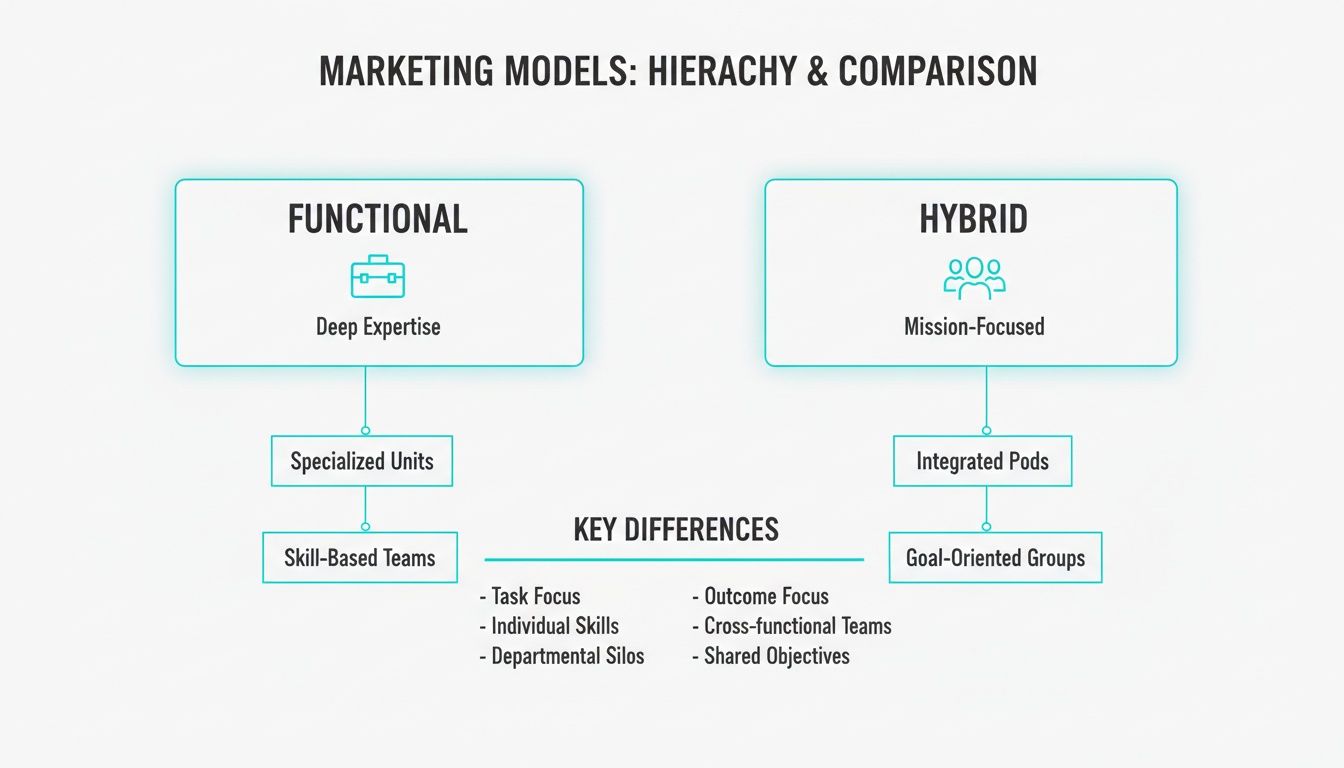 A diagram comparing functional and hybrid marketing models, detailing their hierarchy and key differences.
