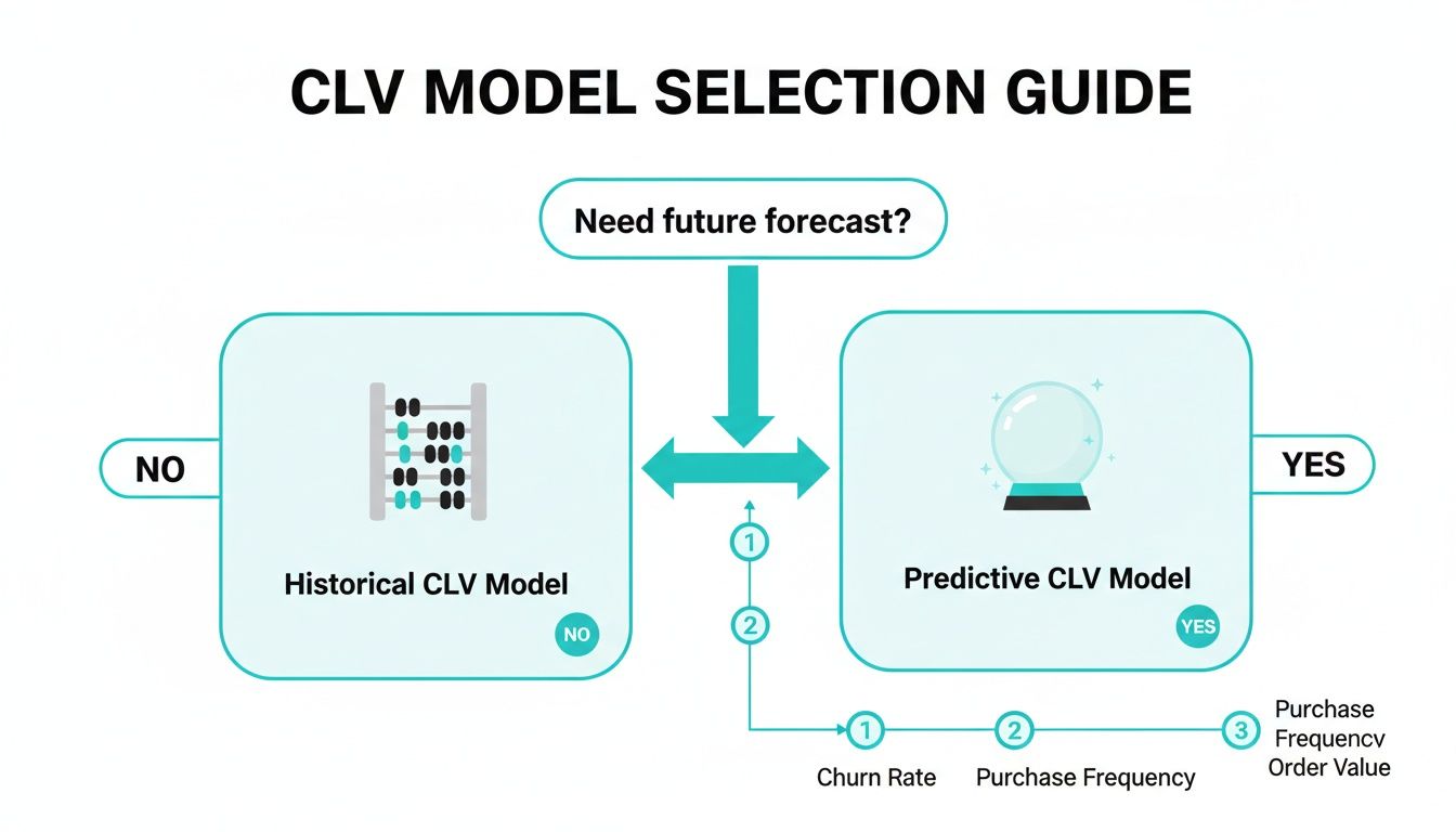 Flowchart illustrating CLV model selection based on needing future forecasts, distinguishing historical vs. predictive models.