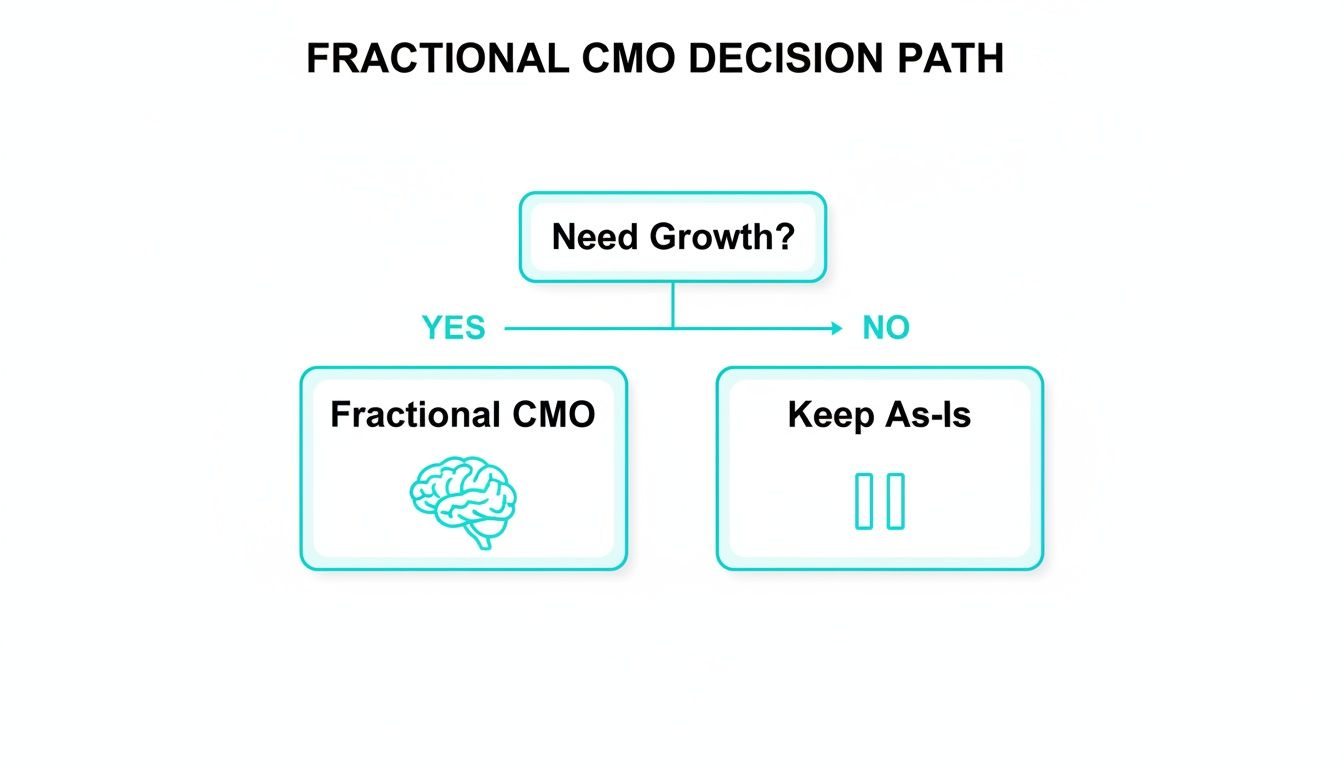 Decision path diagram for Fractional CMO services, illustrating choices based on the need for growth.