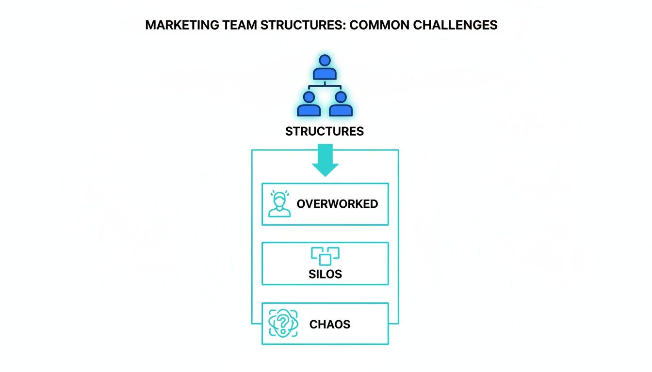 Infographic about marketing team structures