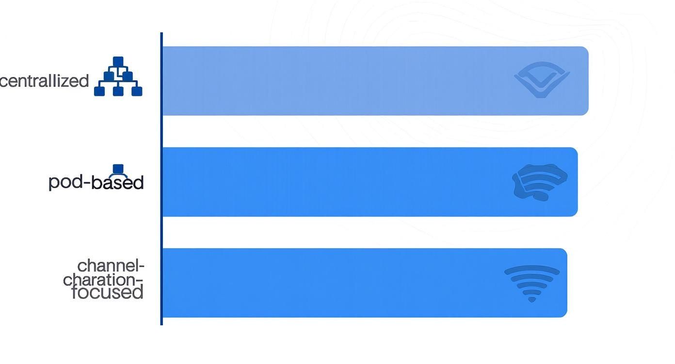 Infographic about marketing team structure