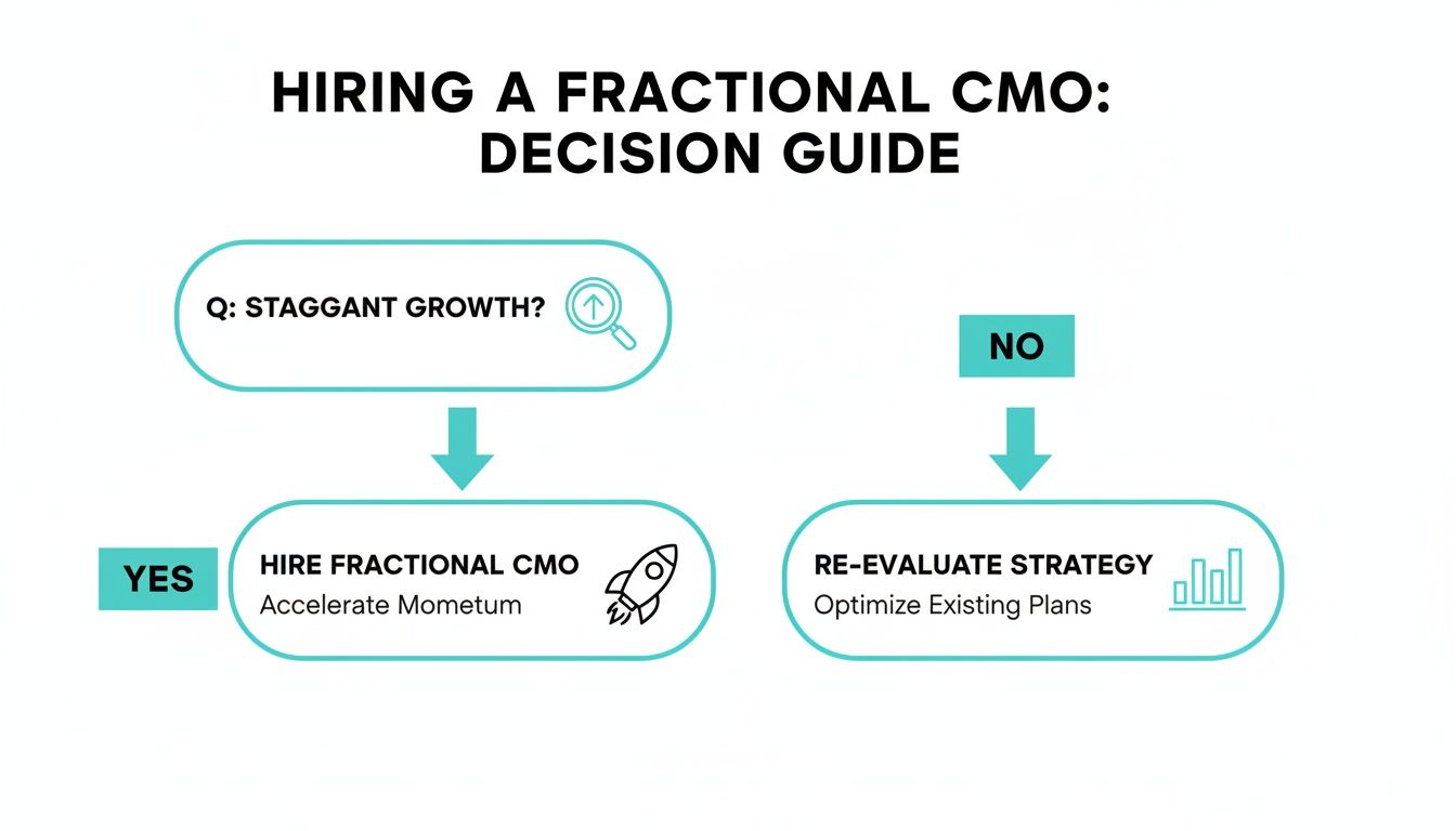 A flowchart decision guide for hiring a fractional CMO based on stagnant growth.