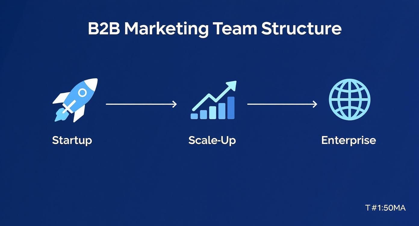 Infographic about b2b marketing team structure