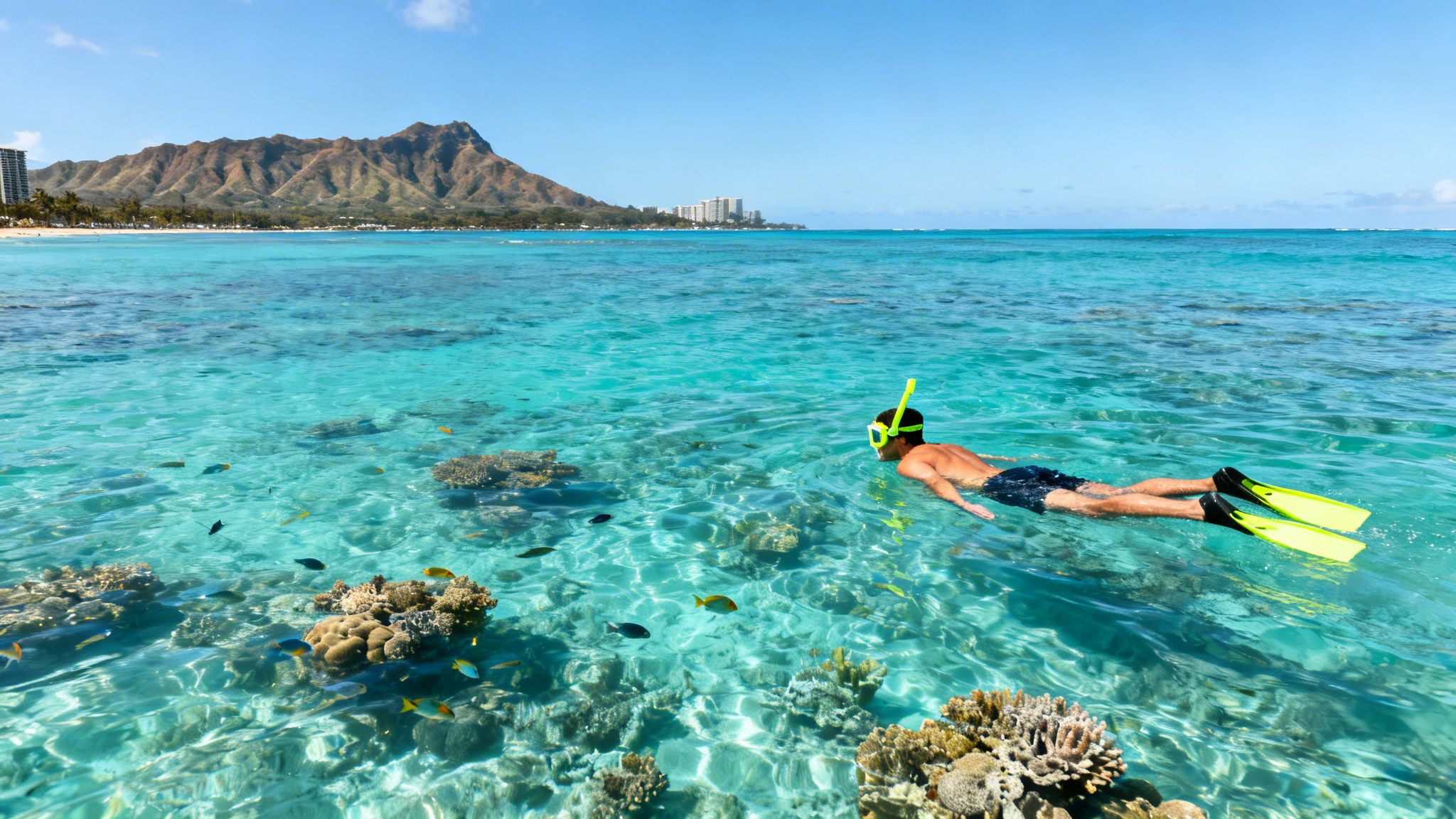 A person snorkeling in vibrant turquoise water with colorful fish and coral reefs, with Diamond Head mountain and hotels in the background.