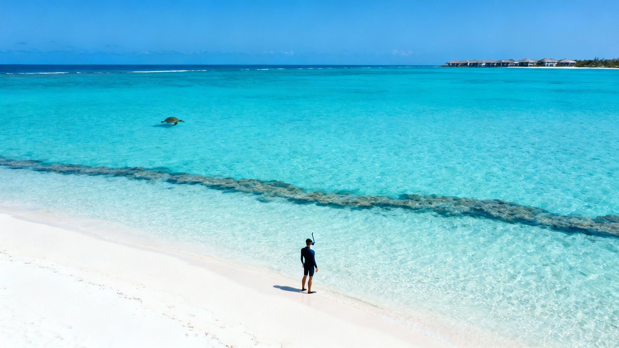Aerial view of a snorkeler on a white beach, a sea turtle swimming in turquoise waters with resort bungalows.