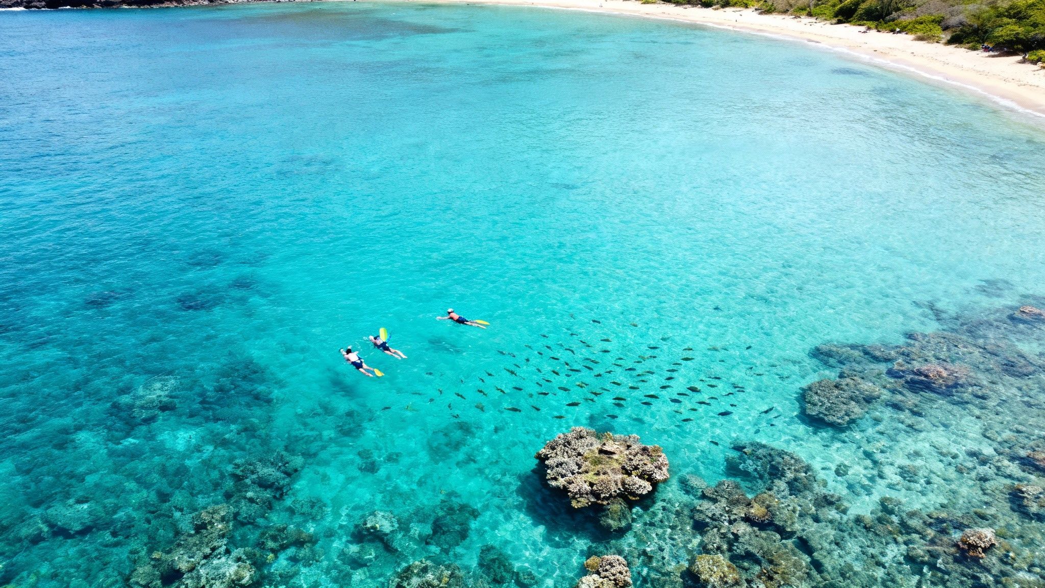 Aerial view of two people snorkeling over a vibrant coral reef with a school of fish in clear blue ocean water.