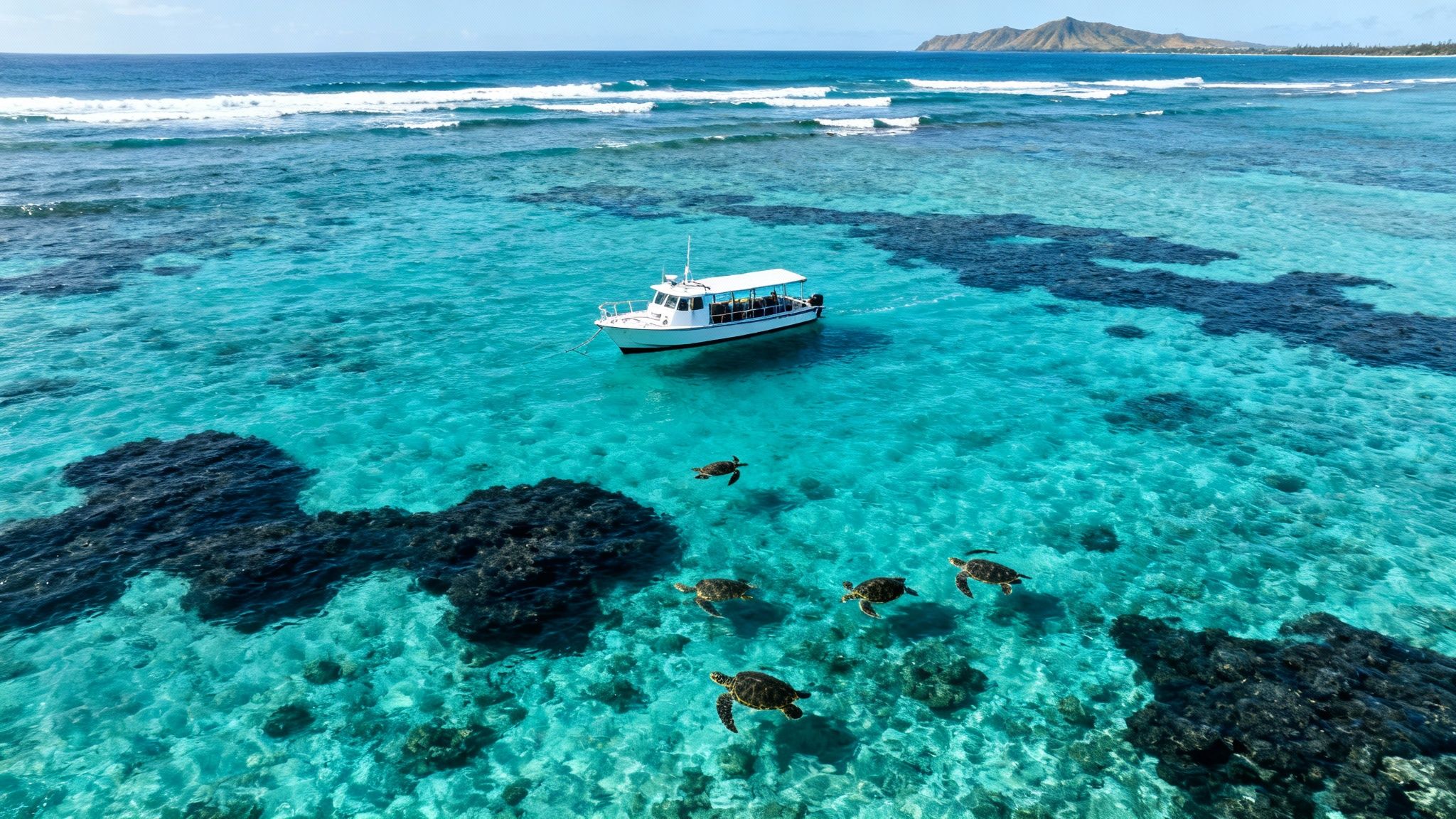 Aerial view of a white boat and multiple sea turtles swimming over clear turquoise waters and coral reefs.