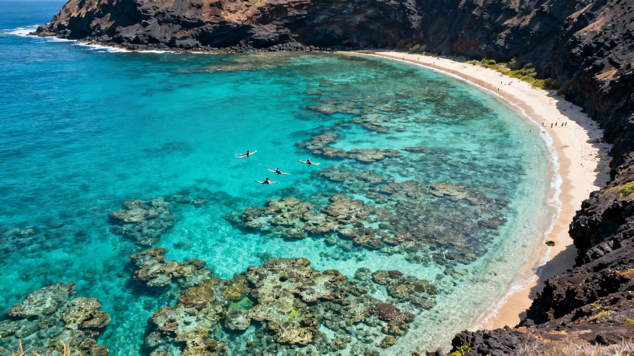 Screenshot from https://upload.wikimedia.org/wikipedia/commons/0/05/Hanauma_Bay.jpg