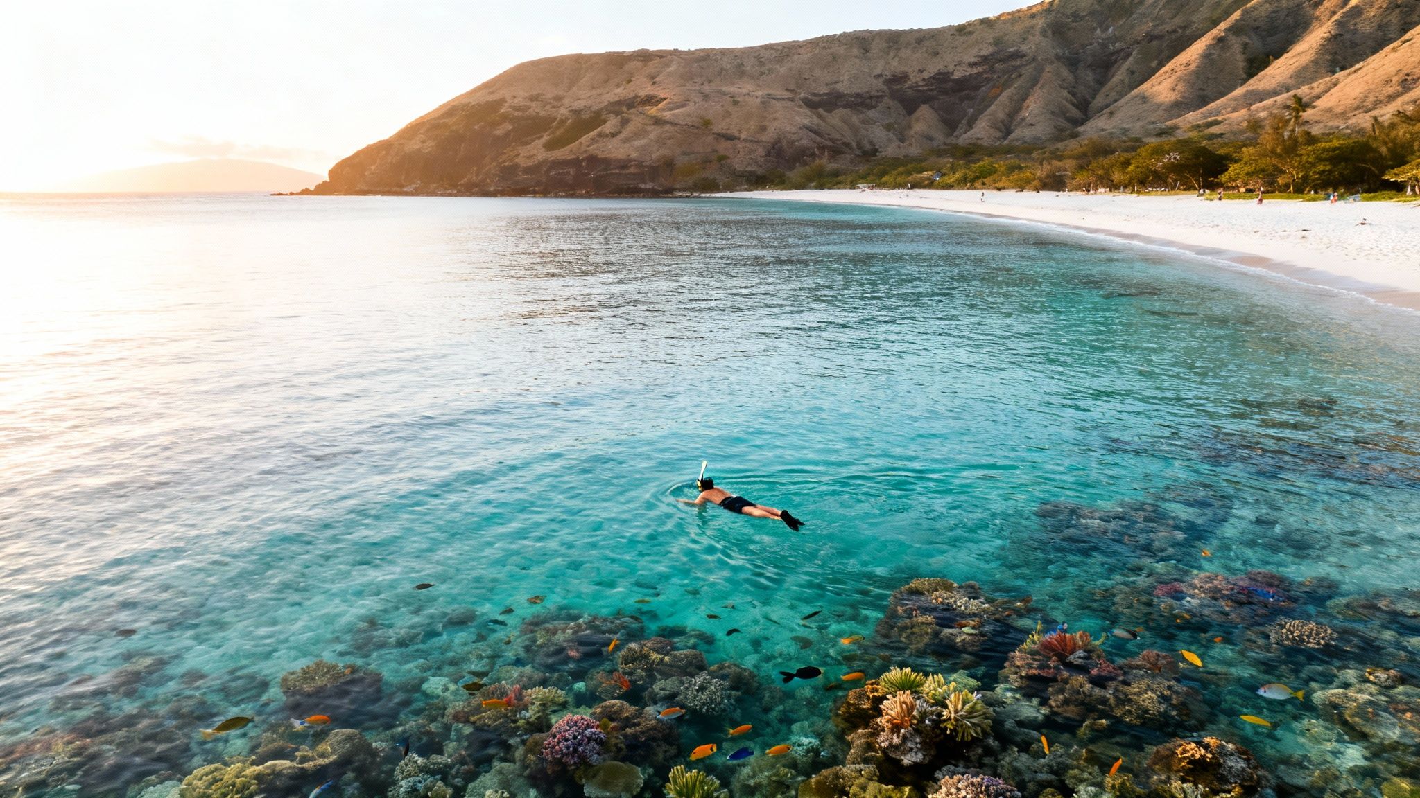 A person snorkels in crystal clear ocean water over a colorful coral reef near a tropical beach and mountains at sunset.