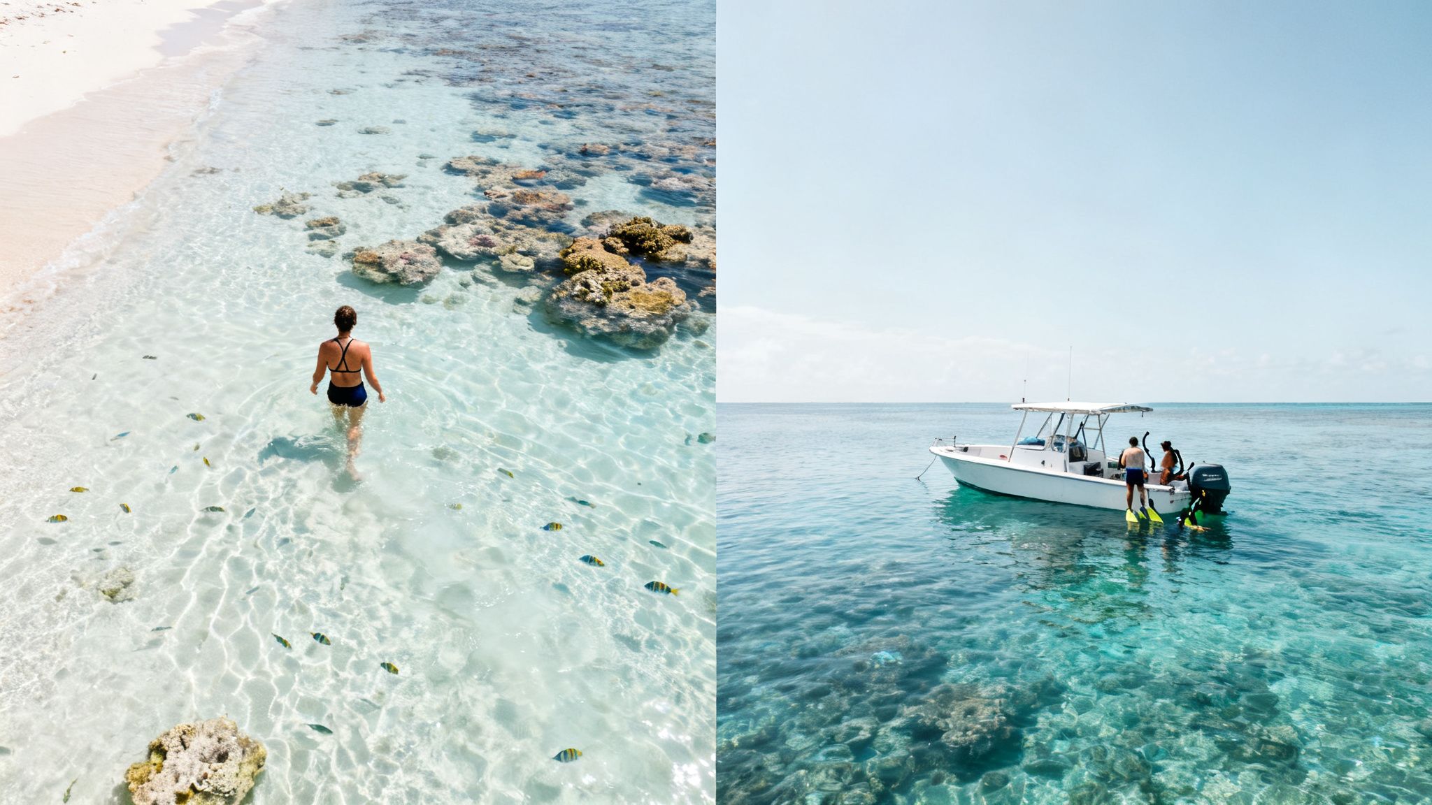 Two scenes of tropical paradise: a woman wading with fish, and people snorkeling from a boat over a coral reef.