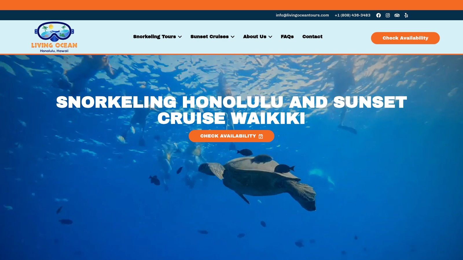 Living Ocean Tours