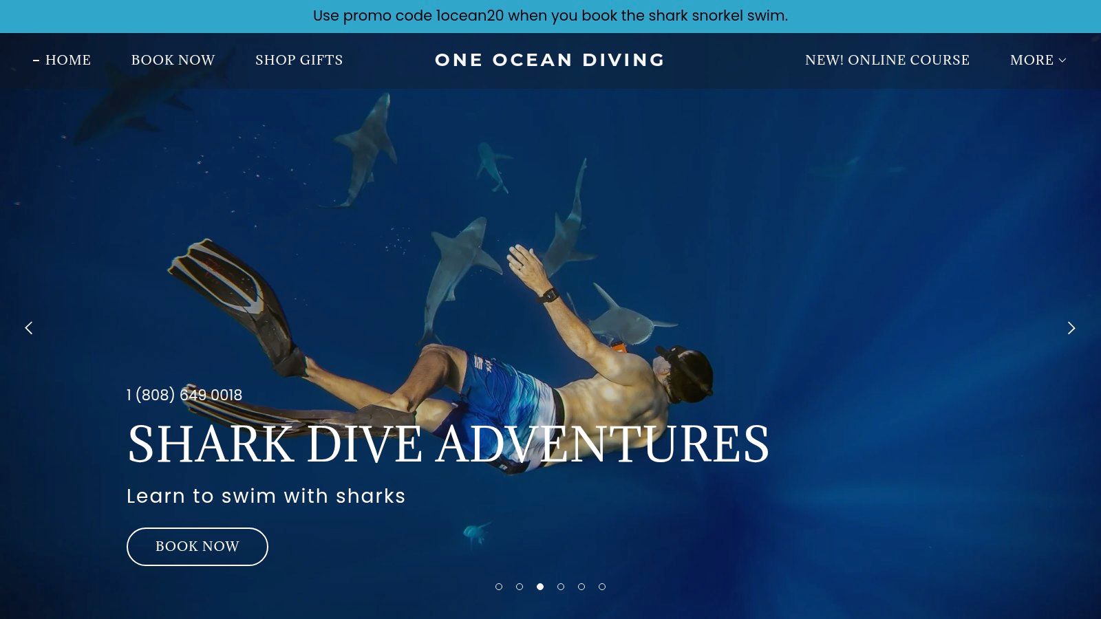 One Ocean Diving — Pelagic Shark Snorkel