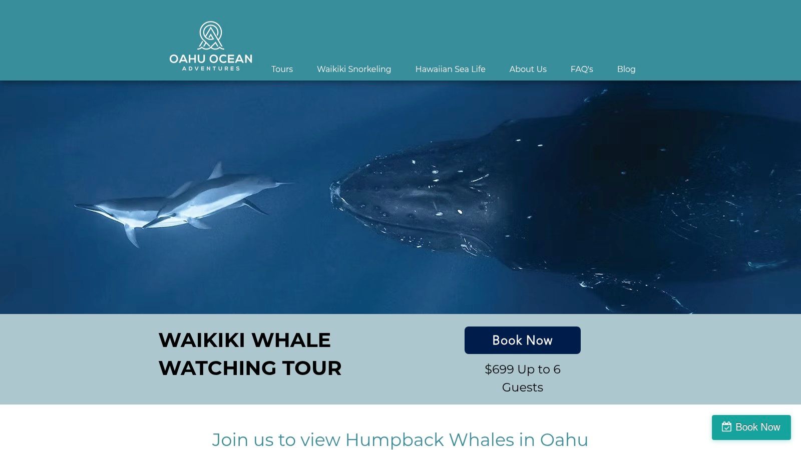Oahu Ocean Adventures