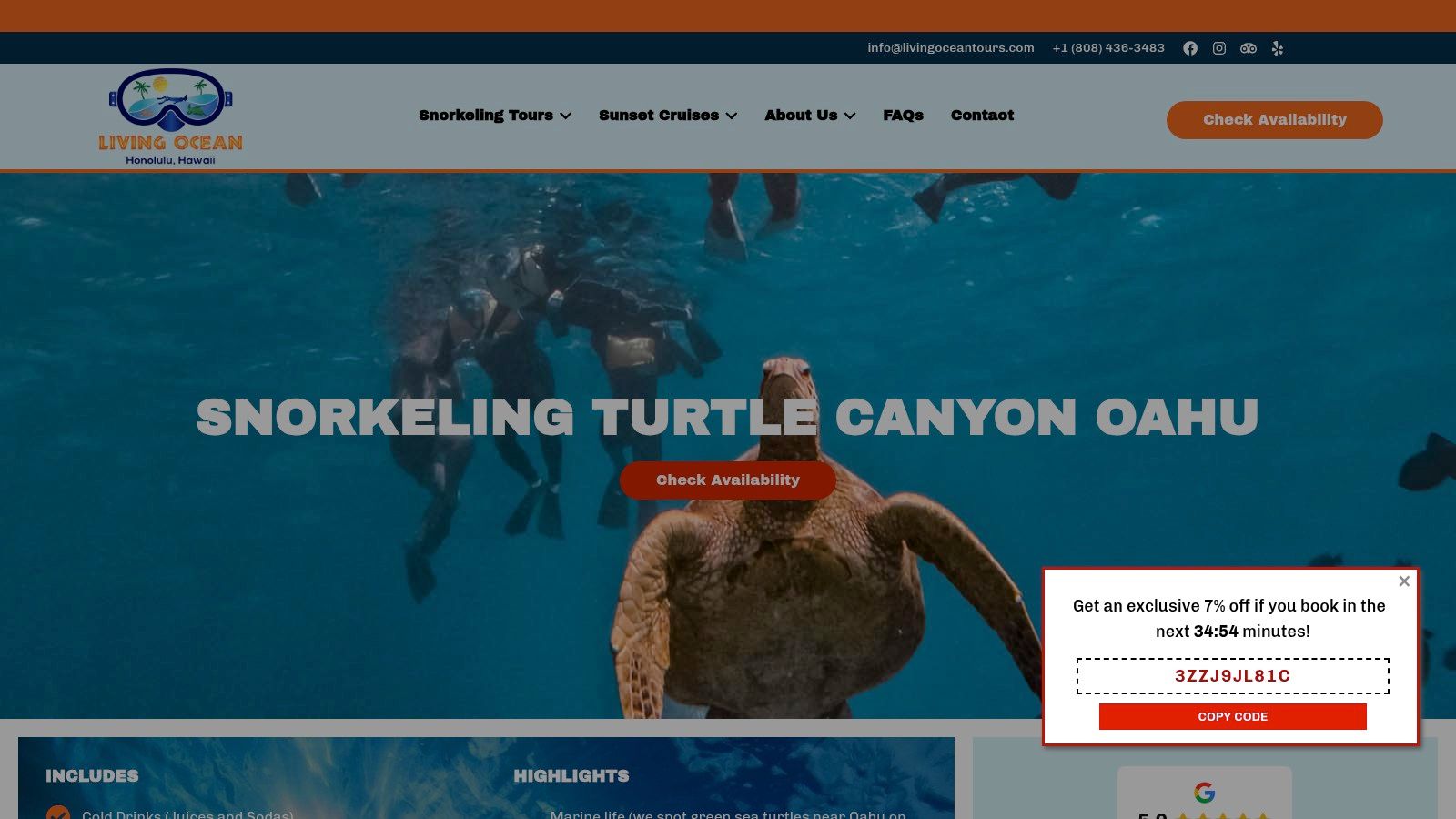 Living Ocean Tours – Turtle Canyons Snorkel
