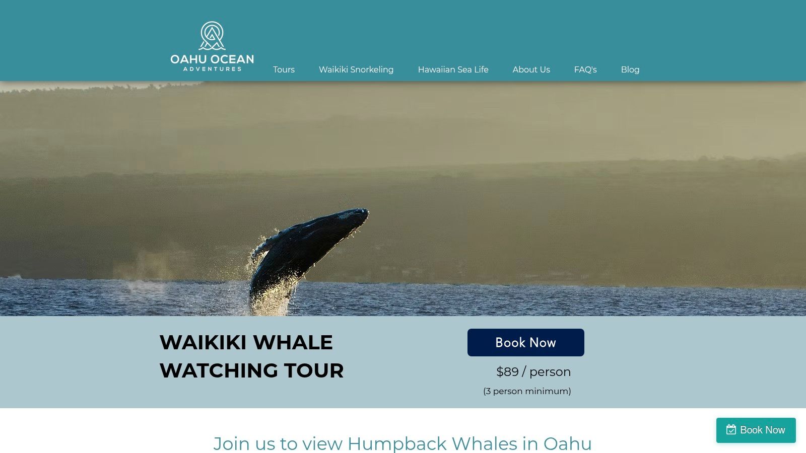Oahu Ocean Adventures – Waikīkī Whale Watching