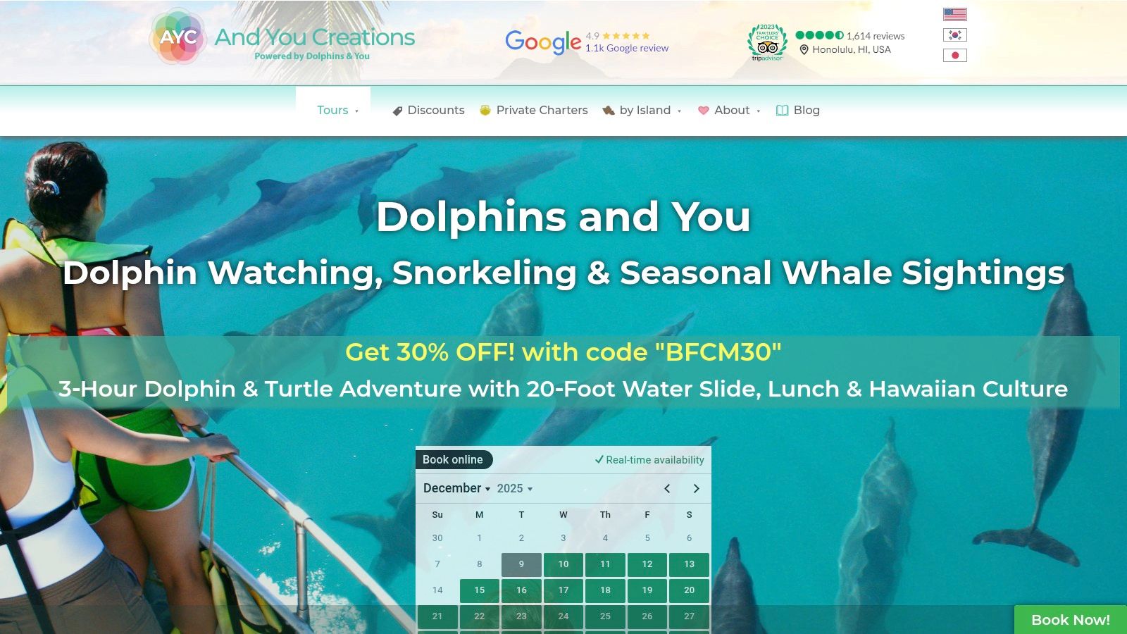 Dolphins and You / And You Creations