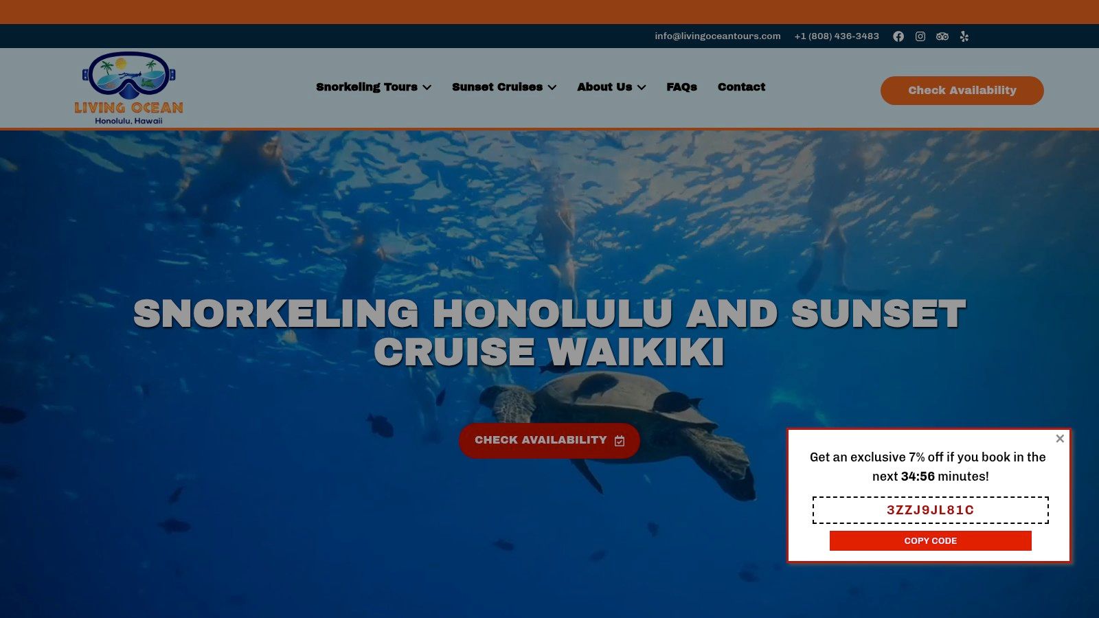 Living Ocean Tours — Turtle Canyons Snorkel