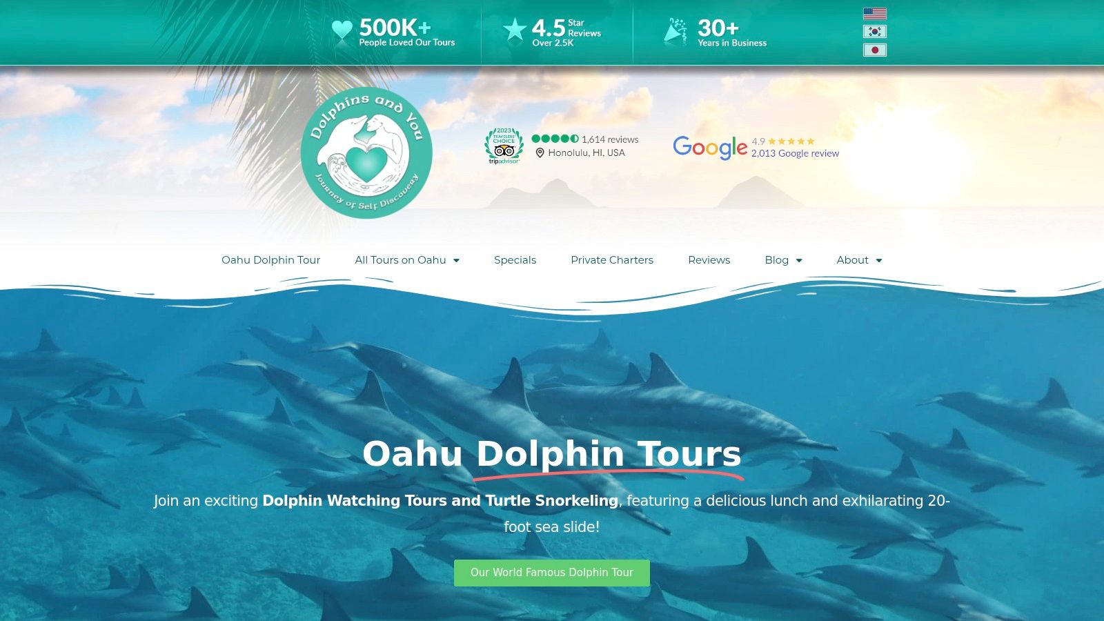 Dolphins and You (And You Creations)