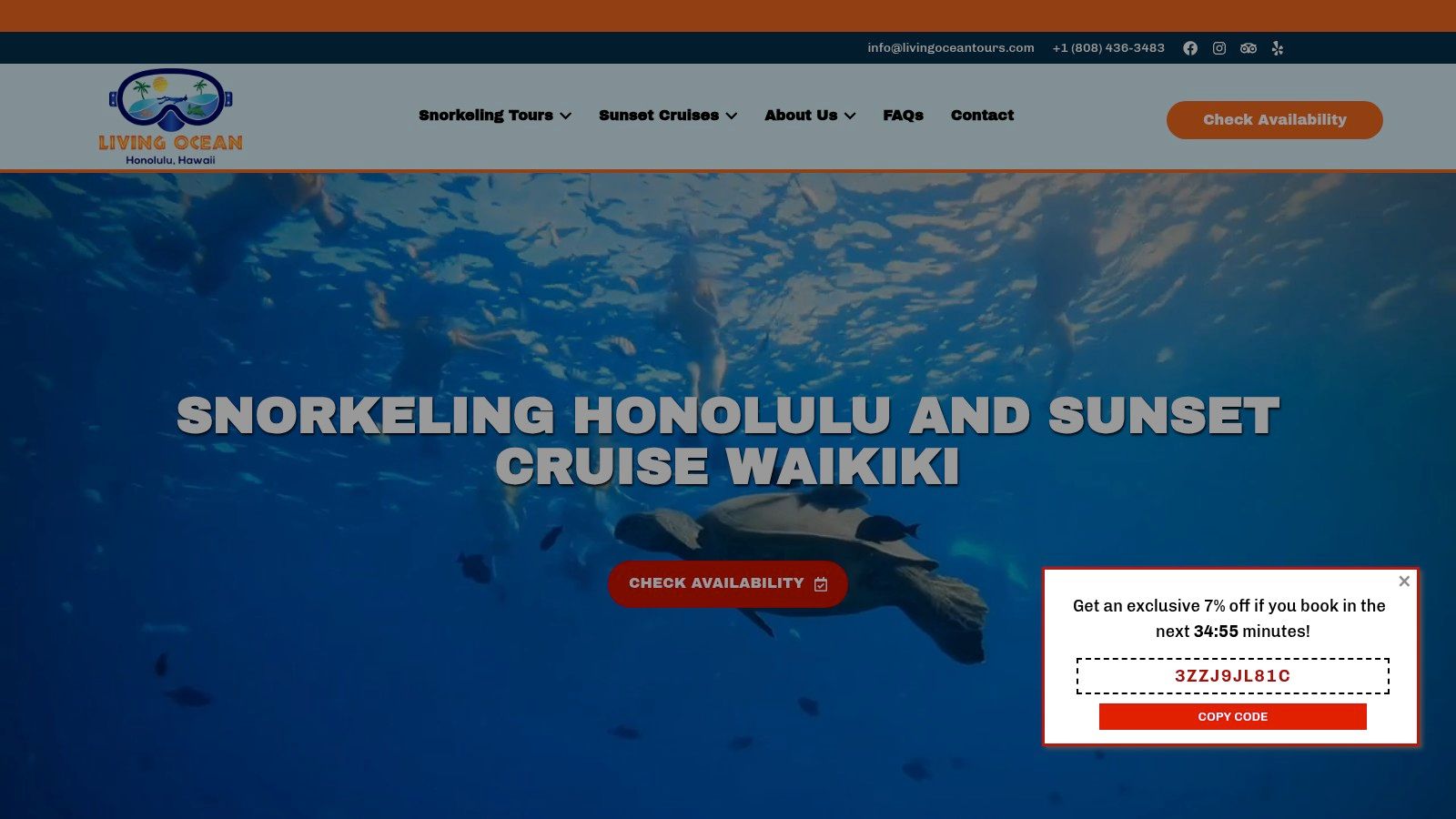 A group of snorkelers in Honolulu with Living Ocean Tours viewing a sea turtle