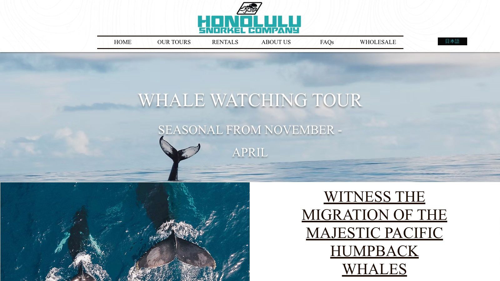 Honolulu Snorkel Company – Whale Watching