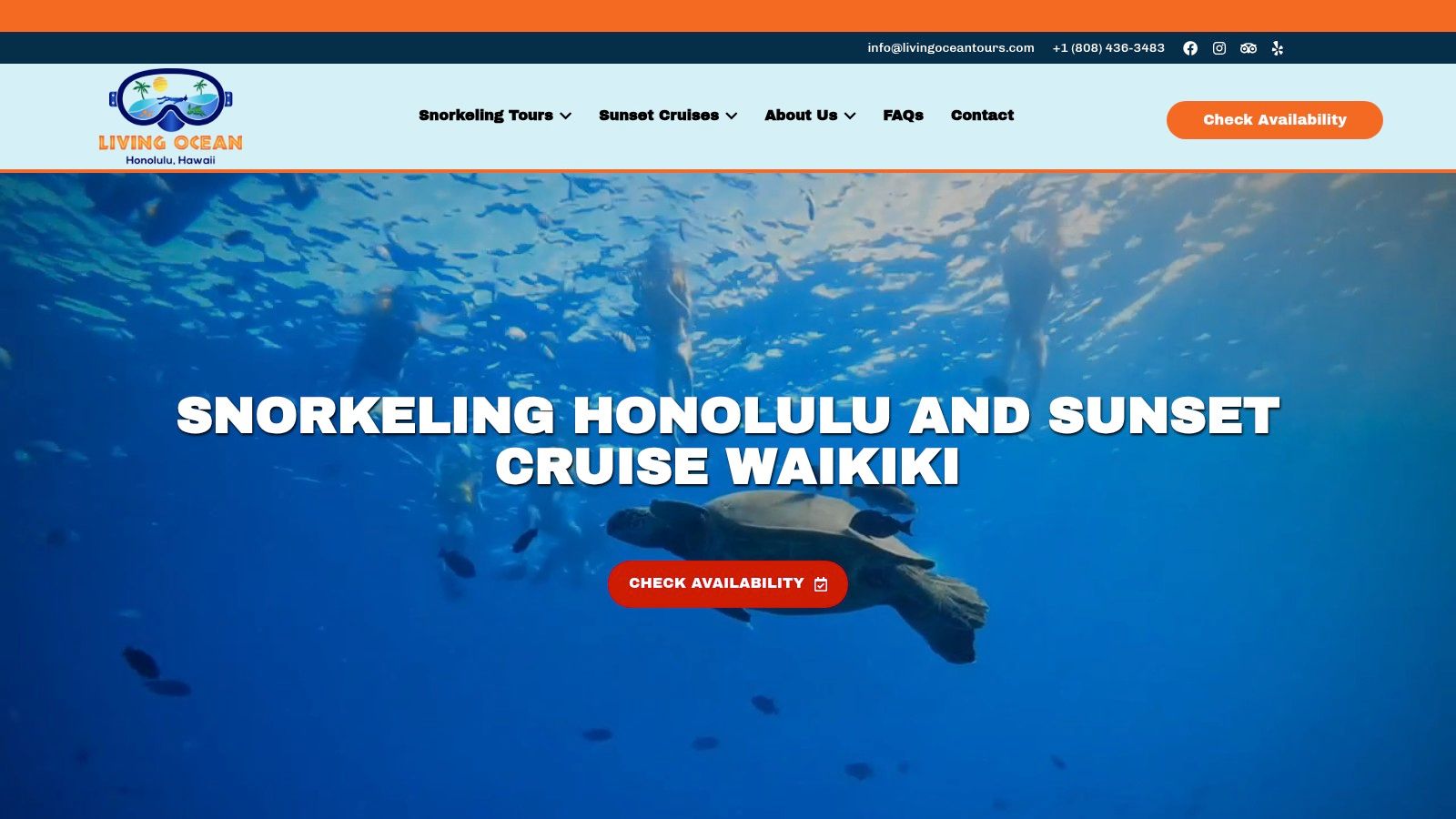 A snorkeler swimming alongside a Hawaiian green sea turtle in the clear blue waters off Honolulu.