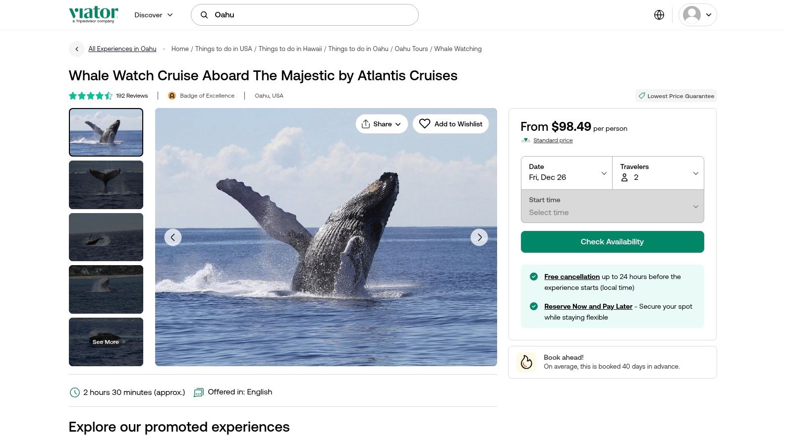 Viator (Majestic by Atlantis Whale‑Watch listing)
