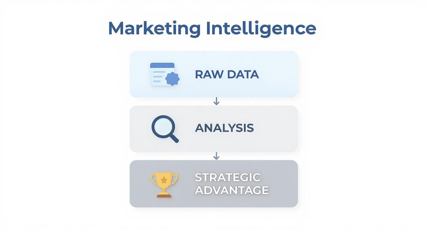 Marketing intelligence flowchart showing progression from raw data through analysis to strategic advantage with icons
