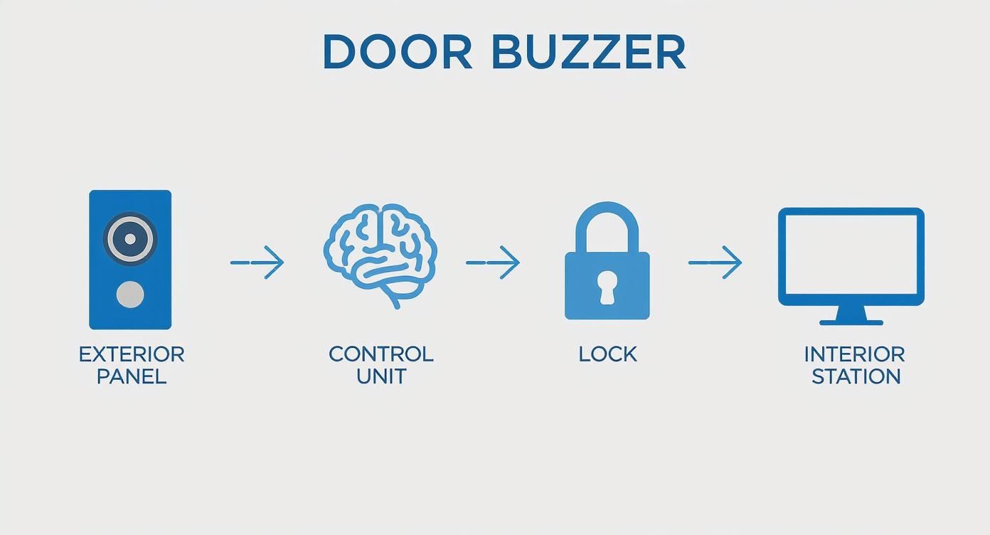 Infographic about door buzzer entry systems