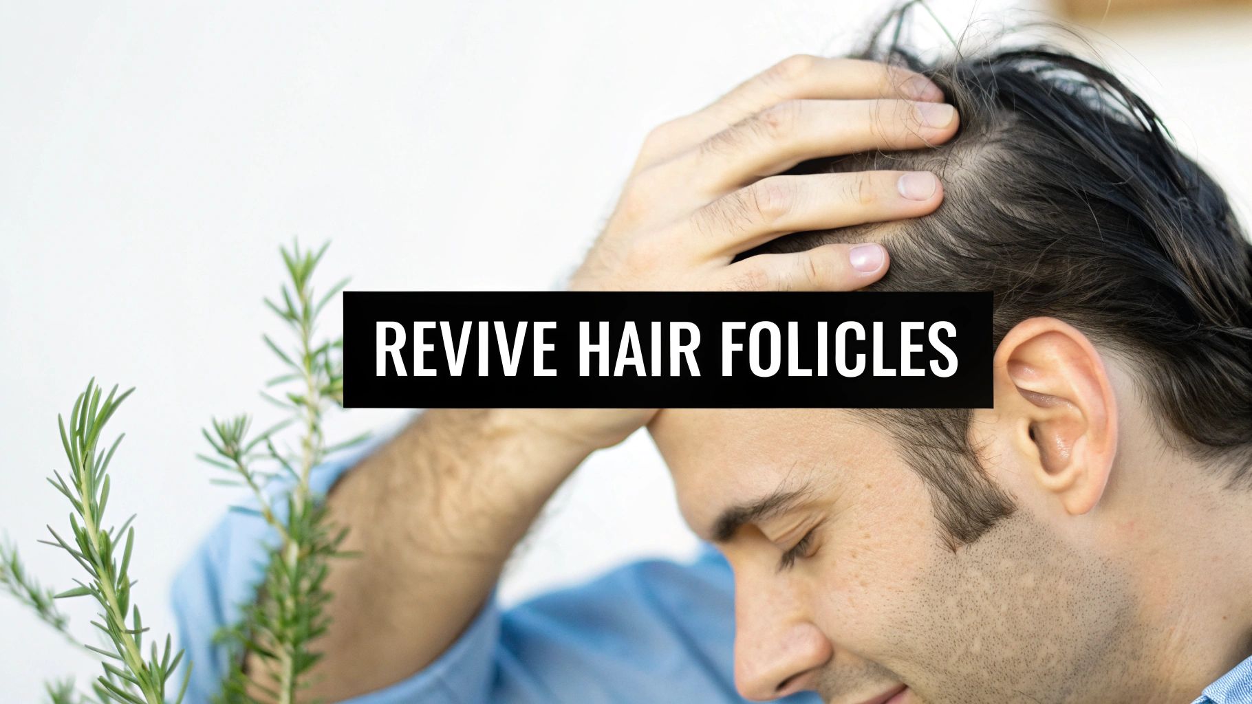 Man with thinning hair looking at a rosemary plant, suggesting natural hair follicle revival.