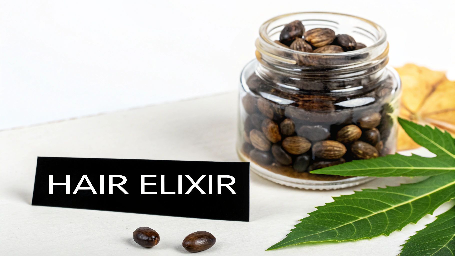A glass jar full of dark castor beans next to a black sign reading 'HAIR ELIXIR' and a green leaf.