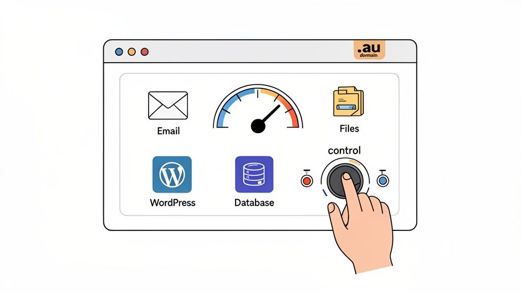 Hand adjusts a control panel showing email, files, wordpress, database, and a performance gauge for an. Au domain.