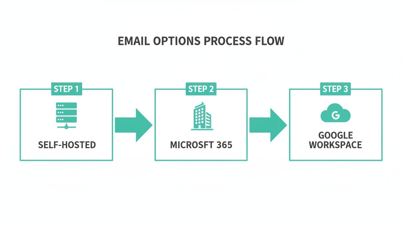 Infographic about set up business email