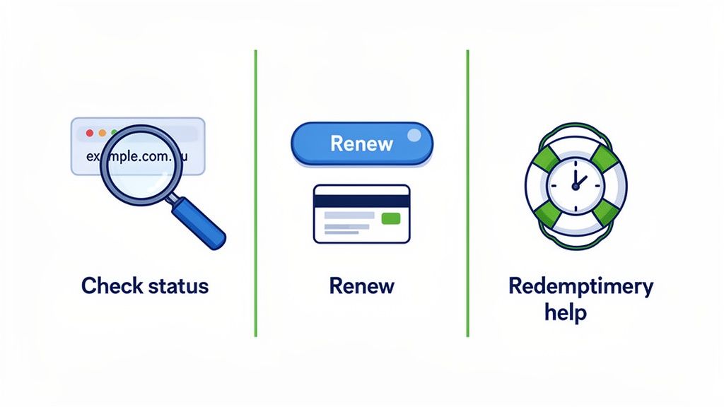 What to Do When Your Domain Name Expired 5 Three steps for domain name management: check status, renew, and redemption help, with icons.