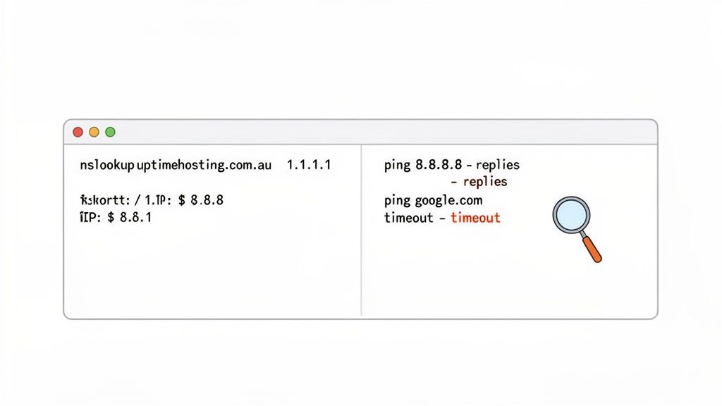 How to Fix DNS Not Responding Errors for Your Business 4 A terminal window displaying nslookup and ping commands, showing dns timeout for google. Com.