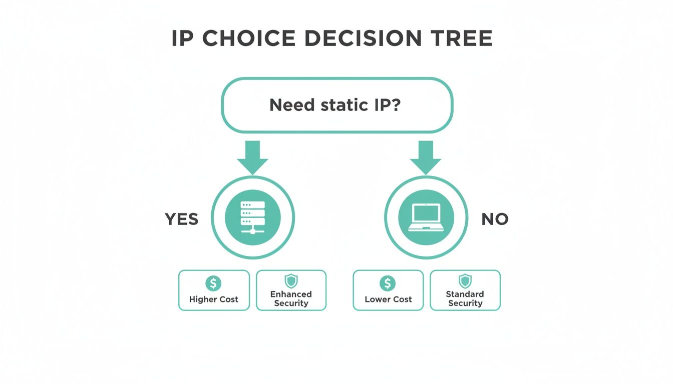 Static vs Dynamic IP: A Practical Guide to static vs dynamic ip for Your Network 6 A decision tree illustrates ip choice: static ip offers higher cost, enhanced security; dynamic ip offers lower cost, standard security.