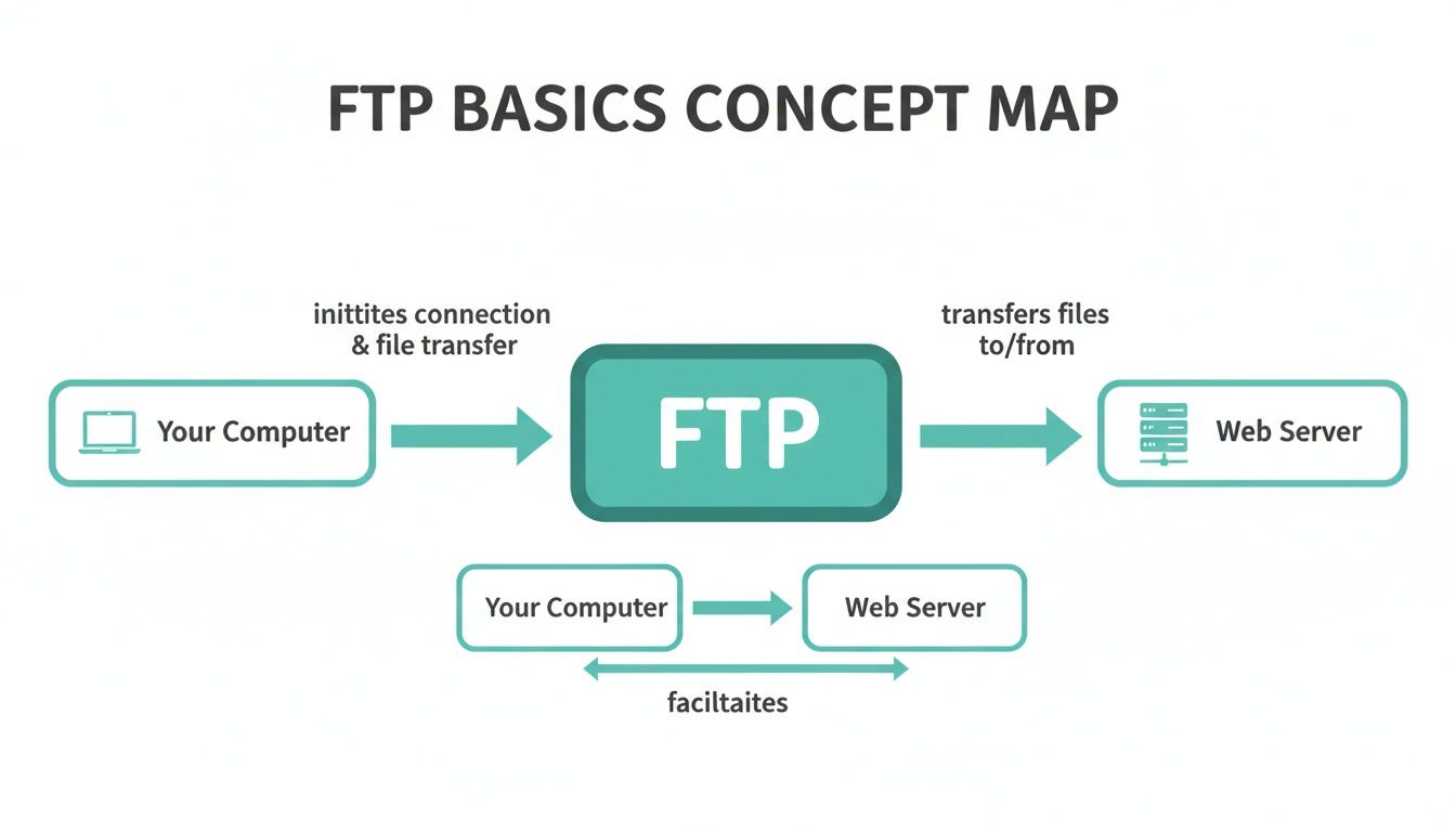 What Is FTP and How Does It Actually Work? 1 A concept map illustrating FTP basics, showing how your computer transfers files to and from a web server.