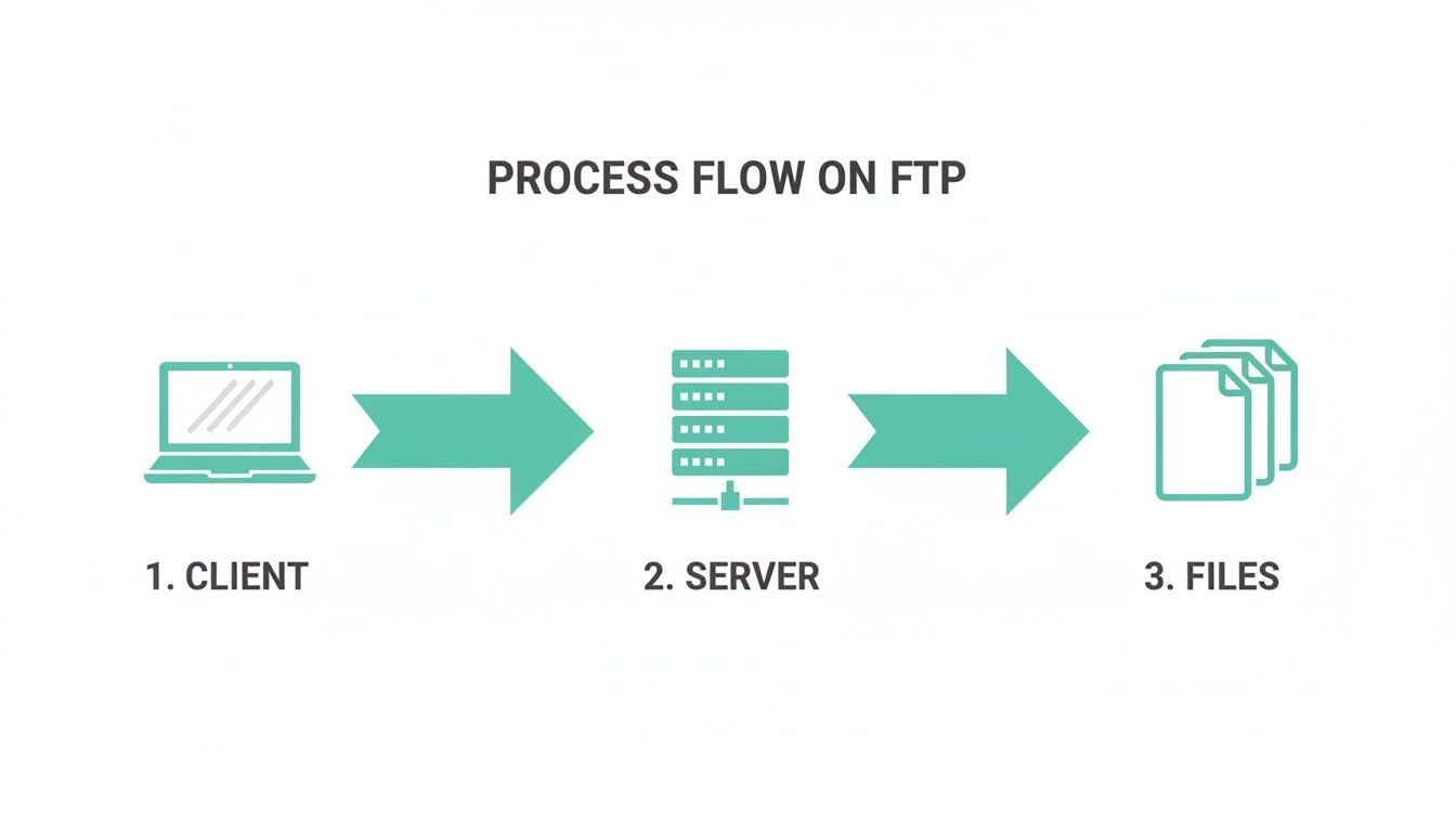 A diagram illustrating the process flow on ftp, showing a client, server, and files transfer.