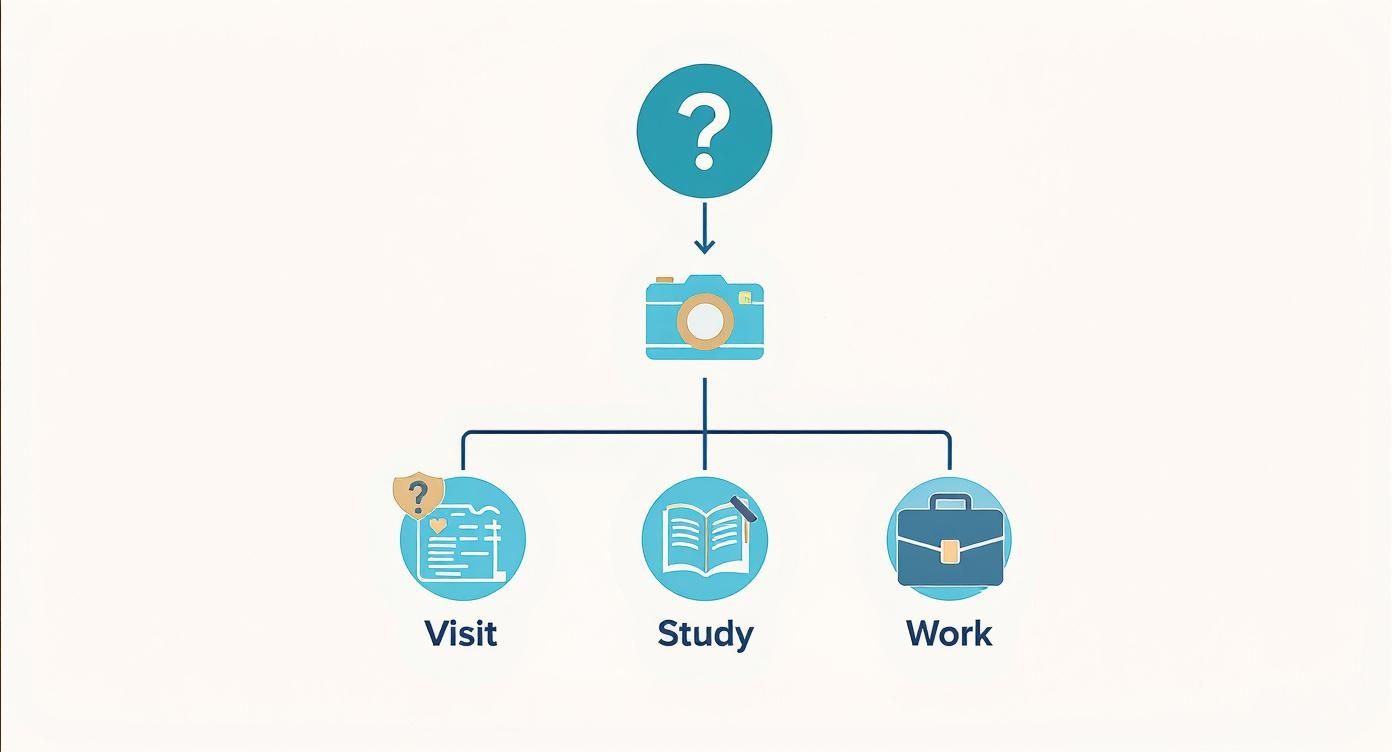 Infographic about how to apply for australian visa