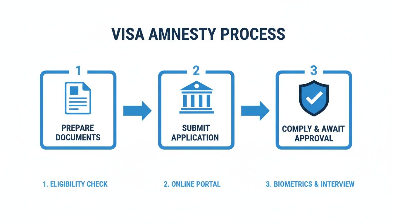 Flowchart illustrating the 3-step Visa Amnesty Process: Prepare Documents, Submit Application, and Await Approval.
