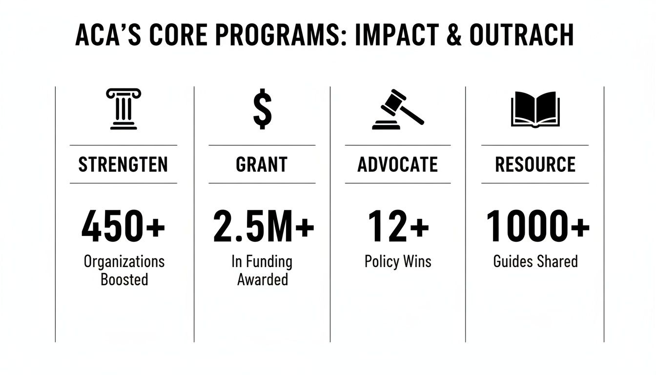 Infographic showing ACA's core programs: strengthen, grant, advocate, and resource with key statistics.