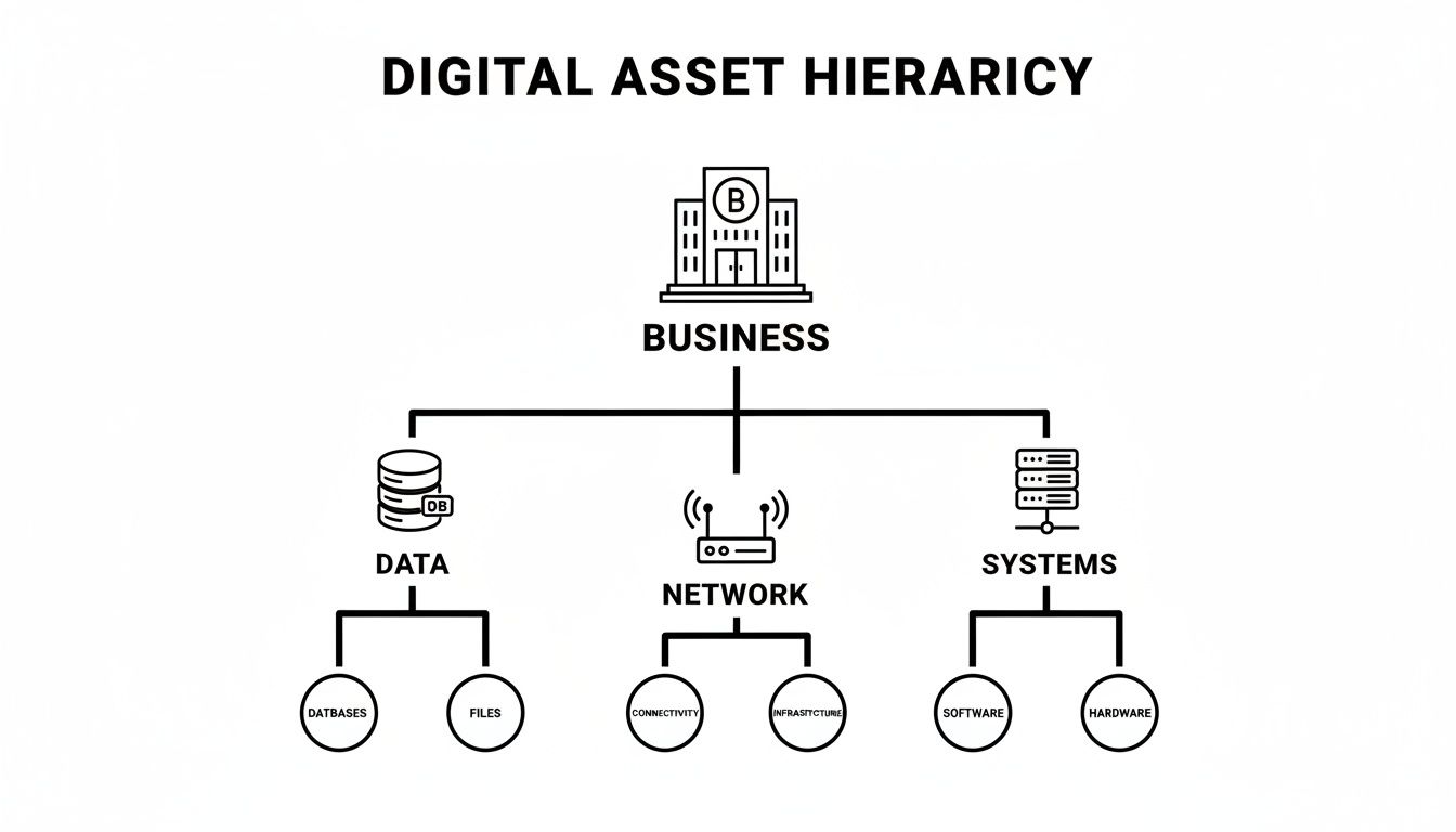 A hierarchical diagram illustrating digital assets within a business, categorized into data, network, and systems.