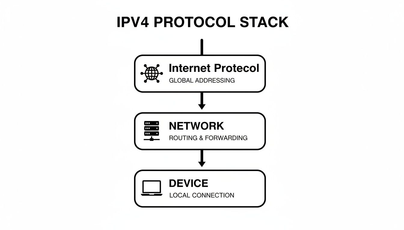 Diagram illustrating the IPv4 protocol stack, showing Internet Protocol, Network, and Device layers.