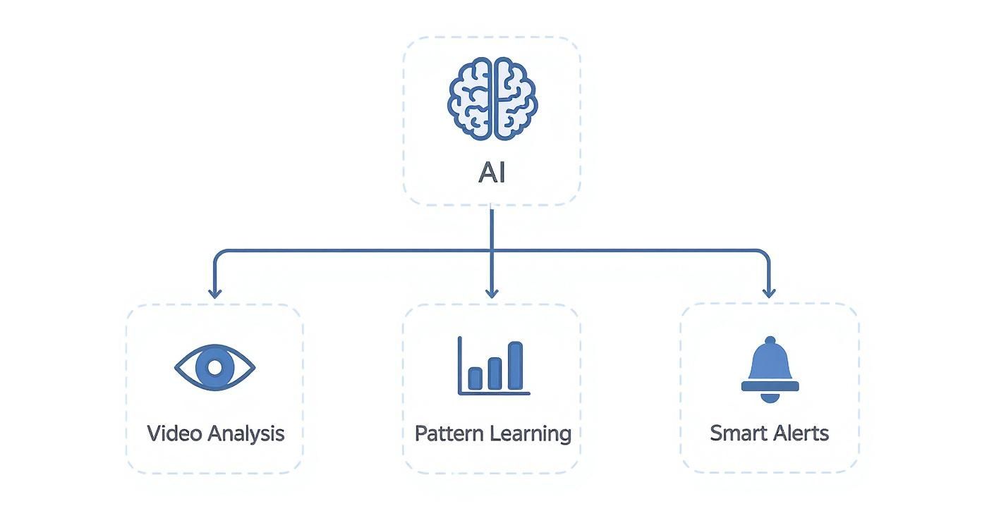 Infographic about ai home security system