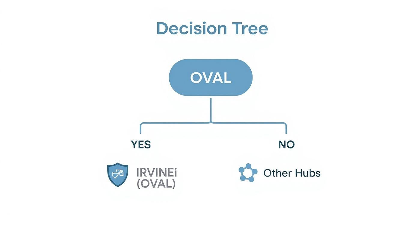 Infographic decision tree for choosing a smart home hub based on setup and security needs.