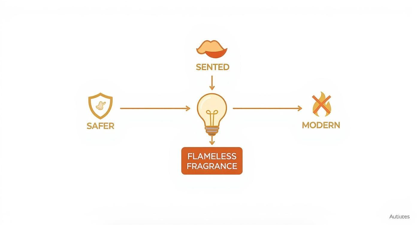 Infographic about wax warmer melts