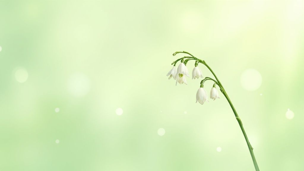 A cluster of white, bell-shaped lily of the valley flowers with vibrant green leaves.