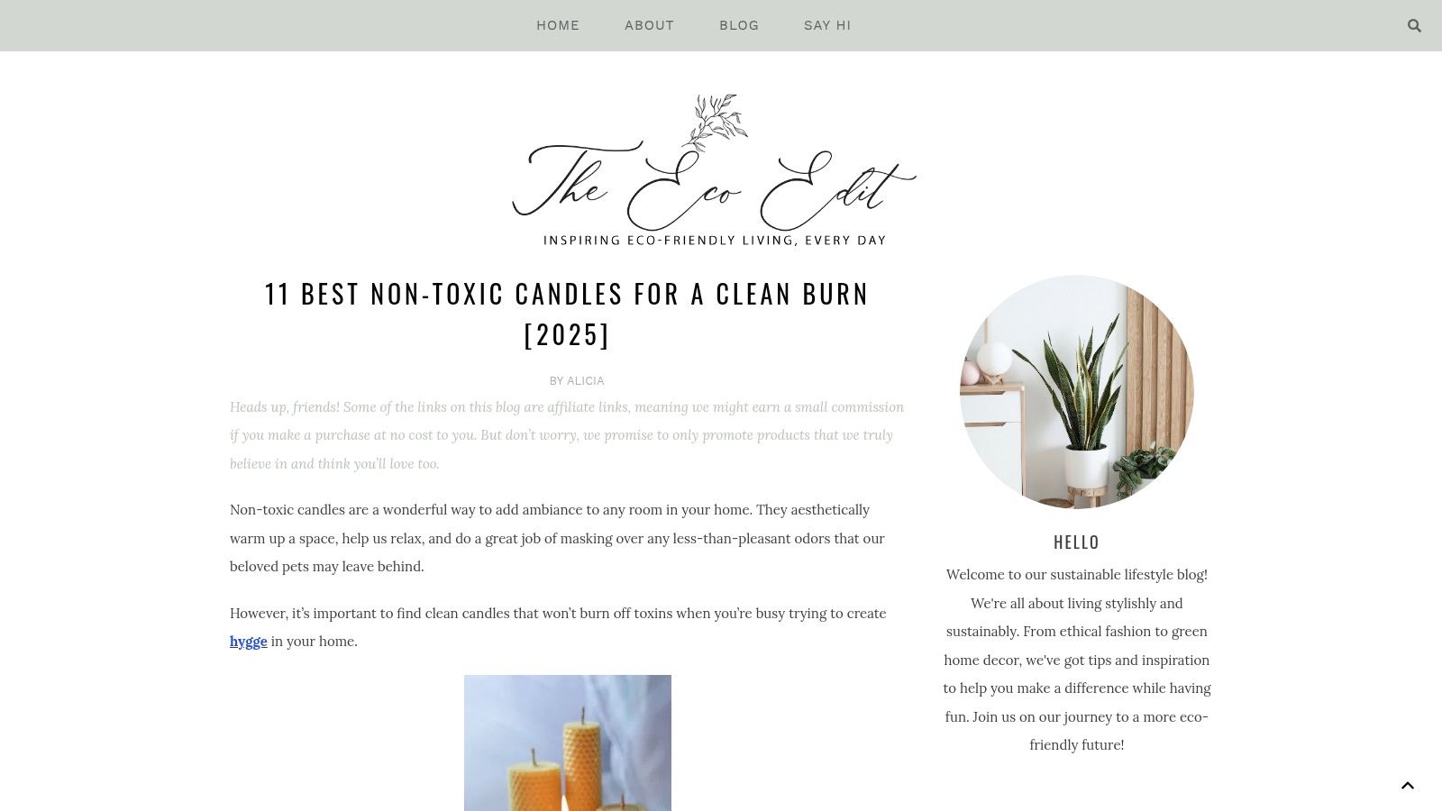 The Eco Edit website homepage showcasing an article about non-toxic candles.